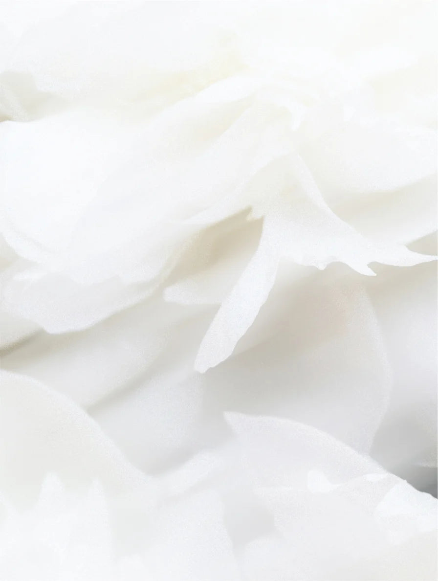 Close-up of white flowers texture.