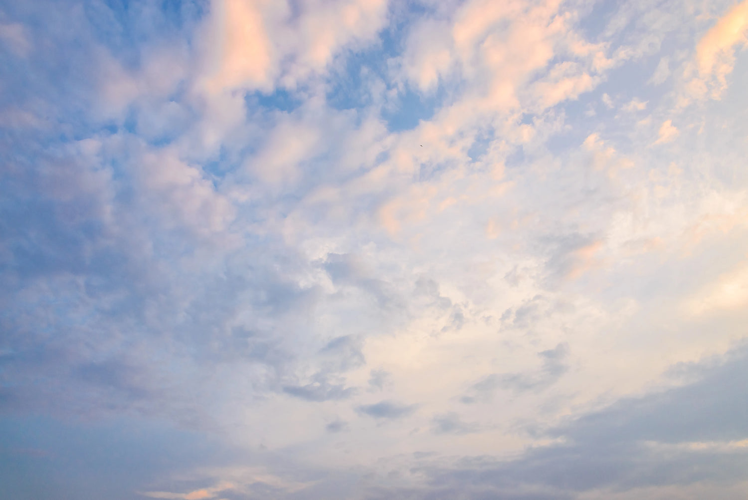 Cloudy sky with soft pink and blue hues.
