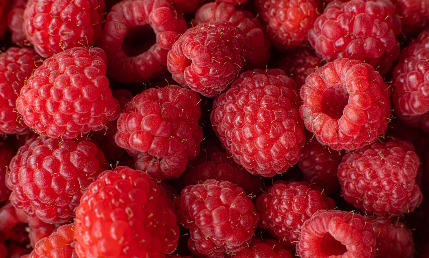 Raspberry Fruit Extract