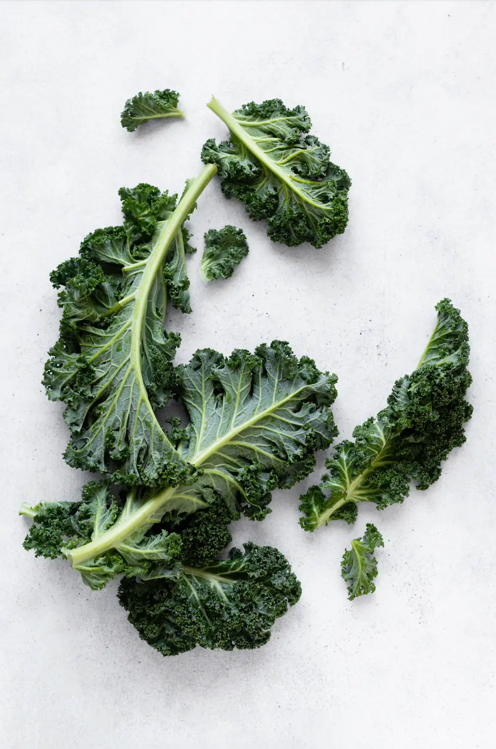 Kale leaves on a white background.