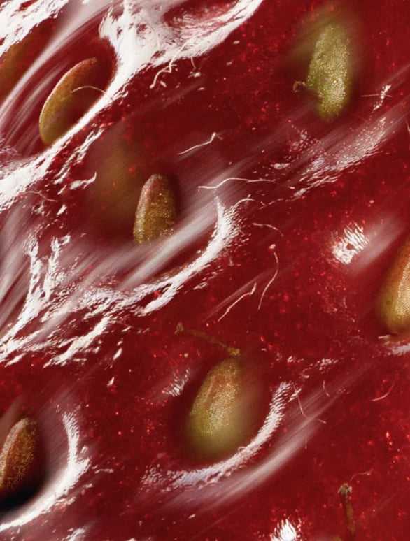 Close-up on strawberry skin with seeds.