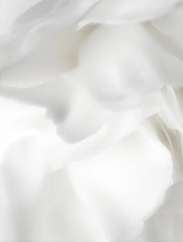 Close-up of white flowers texture.